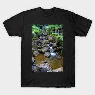 Philippine Highlands - Negros Occidental T-Shirt